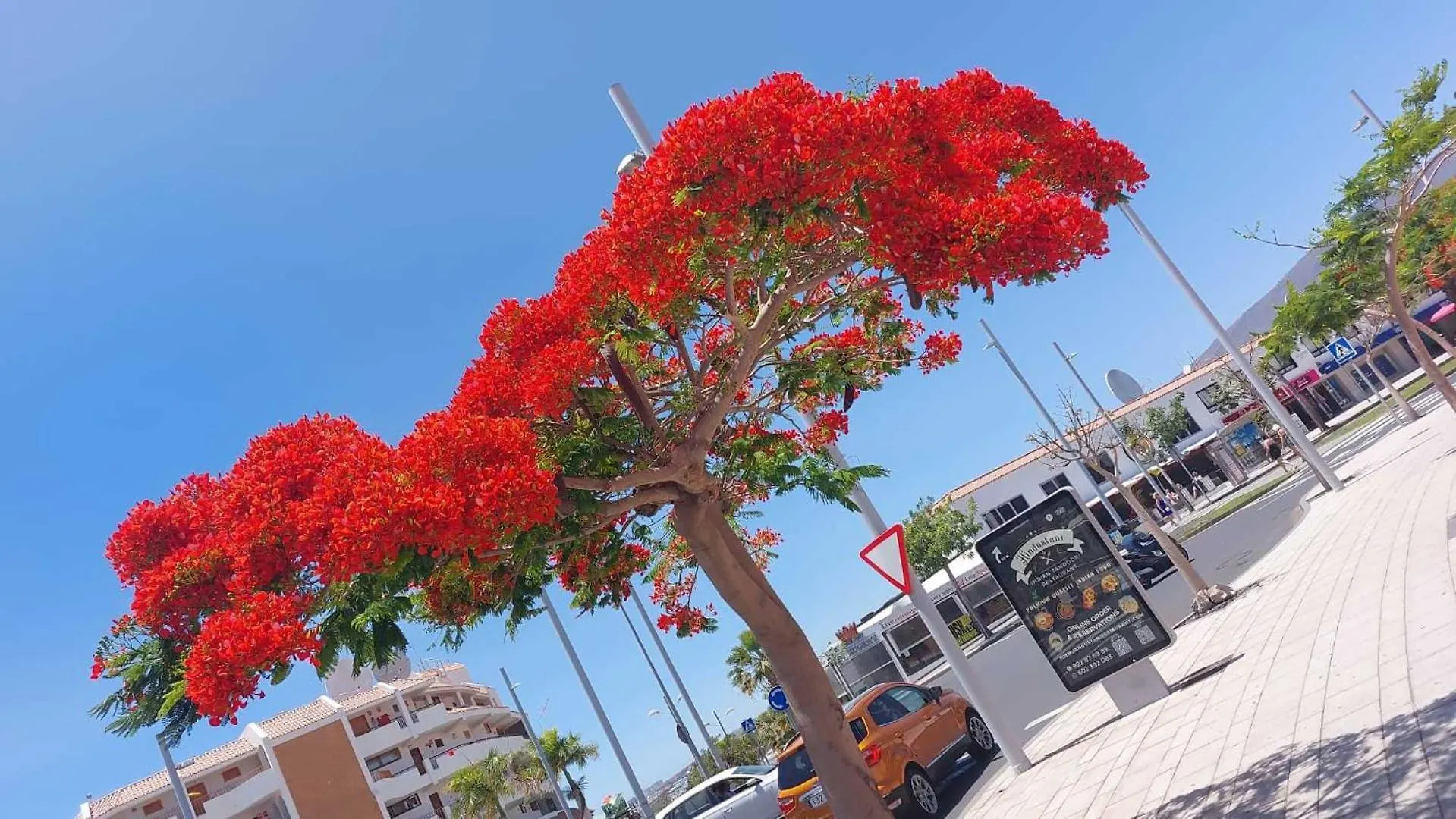 Apartment Appartamento Con Terrazza Soleggiatapiscina Sc788 San Miguel de Abona Spain